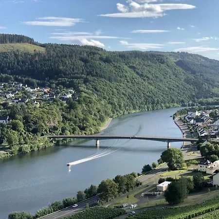Moselle-side * Mehring (Rhineland-Palatinate)