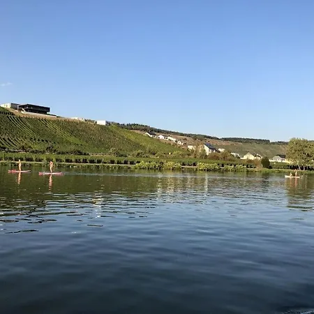 Moselle-side Mehring (Rhineland-Palatinate)