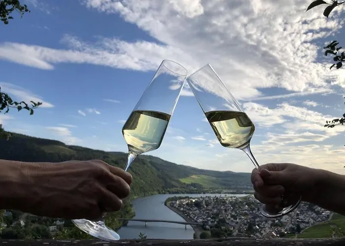 Apartament Moselle-side *