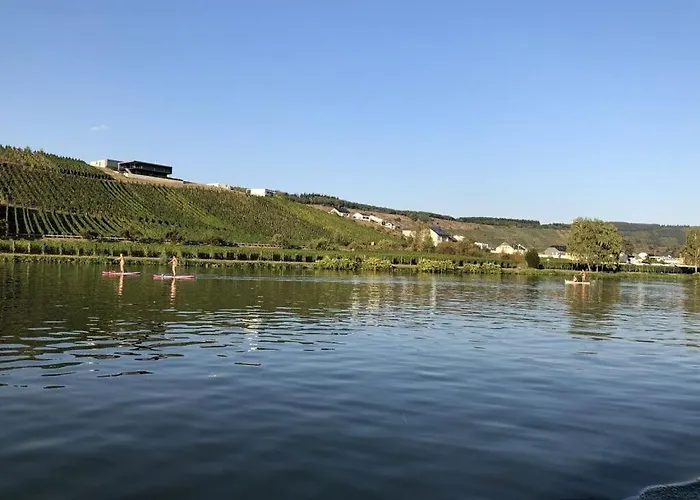 Moselle-side Mehring (Rhineland-Palatinate)