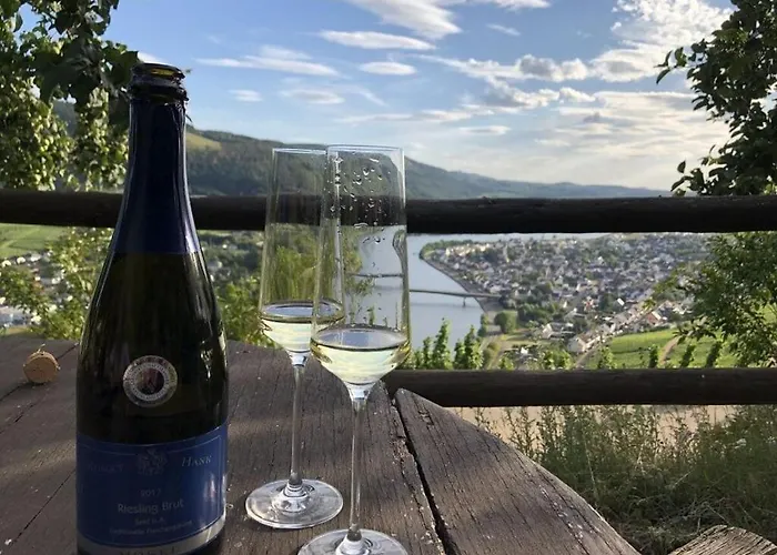 Apartament Moselle-side *